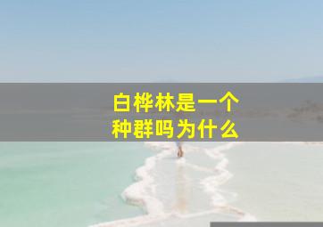 白桦林是一个种群吗为什么