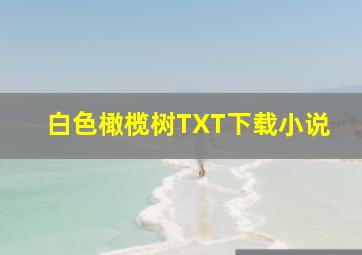 白色橄榄树TXT下载小说