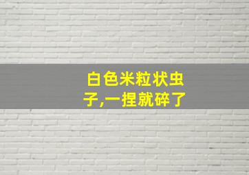 白色米粒状虫子,一捏就碎了