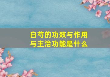 白芍的功效与作用与主治功能是什么