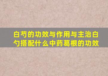 白芍的功效与作用与主治白勺搭配什么中药葛根的功效