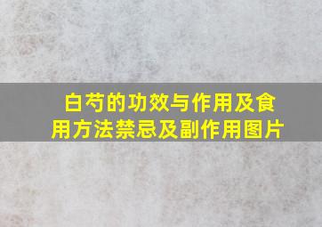 白芍的功效与作用及食用方法禁忌及副作用图片