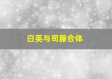 白英与司藤合体