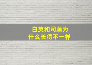 白英和司藤为什么长得不一样