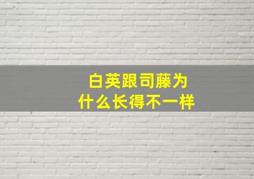 白英跟司藤为什么长得不一样