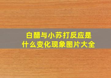 白醋与小苏打反应是什么变化现象图片大全