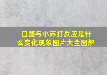 白醋与小苏打反应是什么变化现象图片大全图解