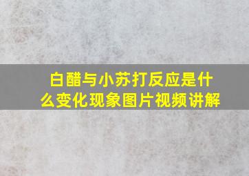 白醋与小苏打反应是什么变化现象图片视频讲解