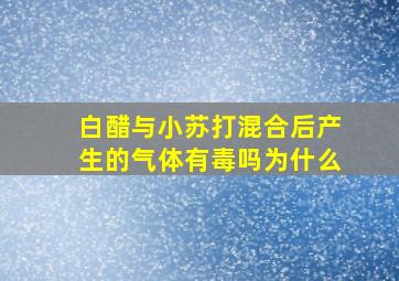 白醋与小苏打混合后产生的气体有毒吗为什么