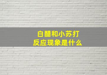 白醋和小苏打反应现象是什么