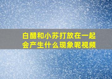 白醋和小苏打放在一起会产生什么现象呢视频