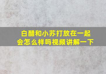 白醋和小苏打放在一起会怎么样吗视频讲解一下