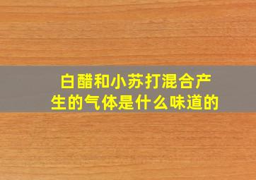 白醋和小苏打混合产生的气体是什么味道的