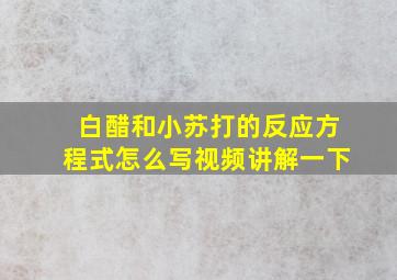 白醋和小苏打的反应方程式怎么写视频讲解一下