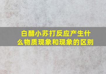 白醋小苏打反应产生什么物质现象和现象的区别