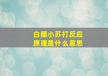 白醋小苏打反应原理是什么意思