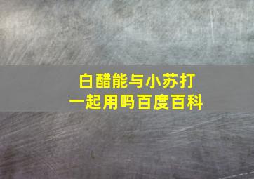 白醋能与小苏打一起用吗百度百科