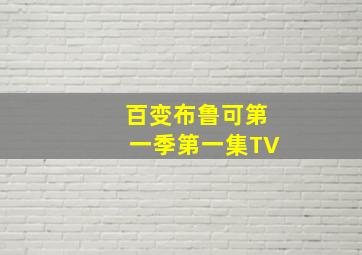 百变布鲁可第一季第一集TV