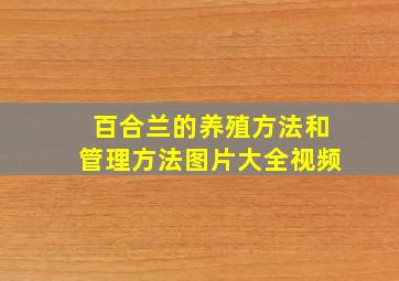 百合兰的养殖方法和管理方法图片大全视频