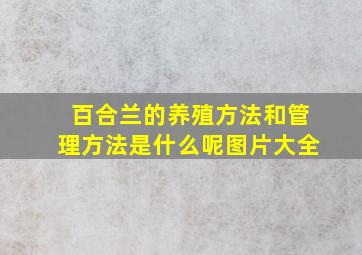 百合兰的养殖方法和管理方法是什么呢图片大全