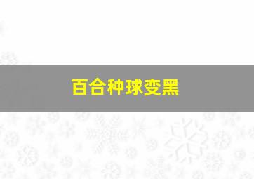 百合种球变黑