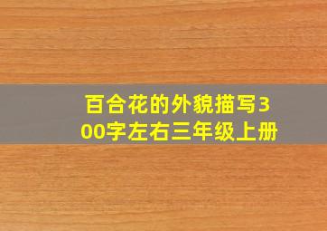 百合花的外貌描写300字左右三年级上册