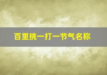 百里挑一打一节气名称