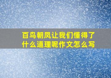 百鸟朝凤让我们懂得了什么道理呢作文怎么写