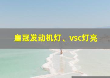 皇冠发动机灯、vsc灯亮