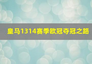 皇马1314赛季欧冠夺冠之路