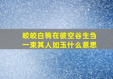 皎皎白驹在彼空谷生刍一束其人如玉什么意思