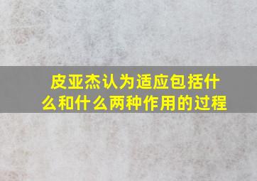 皮亚杰认为适应包括什么和什么两种作用的过程