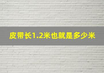 皮带长1.2米也就是多少米