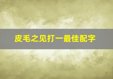 皮毛之见打一最佳配字