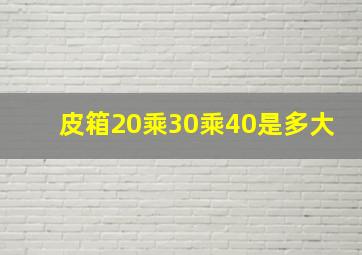 皮箱20乘30乘40是多大