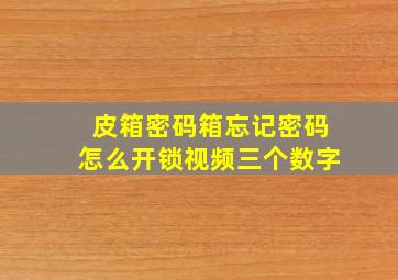 皮箱密码箱忘记密码怎么开锁视频三个数字