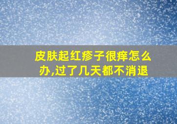 皮肤起红疹子很痒怎么办,过了几天都不消退