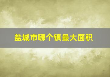 盐城市哪个镇最大面积