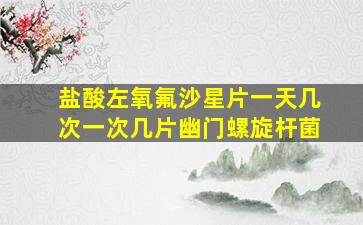 盐酸左氧氟沙星片一天几次一次几片幽门螺旋杆菌