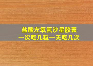 盐酸左氧氟沙星胶囊一次吃几粒一天吃几次