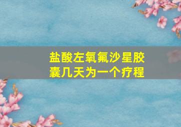 盐酸左氧氟沙星胶囊几天为一个疗程