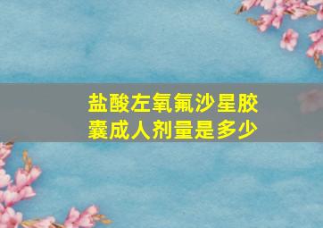 盐酸左氧氟沙星胶囊成人剂量是多少