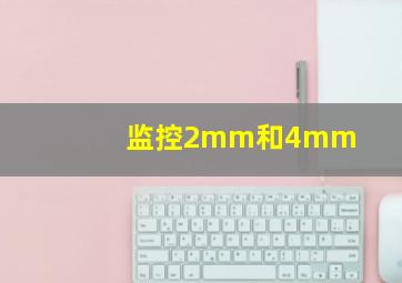 监控2mm和4mm