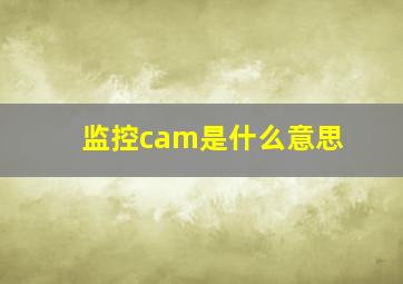 监控cam是什么意思