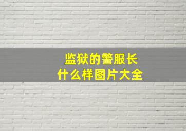 监狱的警服长什么样图片大全