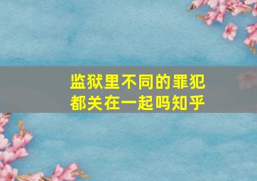 监狱里不同的罪犯都关在一起吗知乎