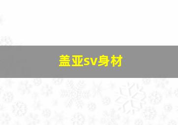 盖亚sv身材