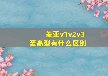 盖亚v1v2v3至高型有什么区别