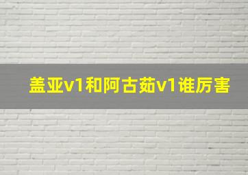 盖亚v1和阿古茹v1谁厉害