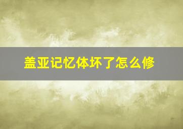 盖亚记忆体坏了怎么修